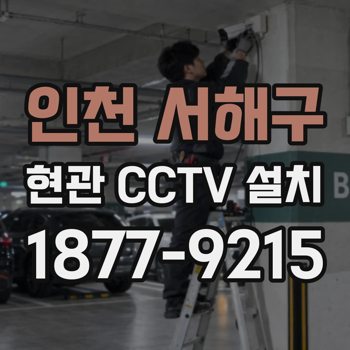 인천 서해구 현관 CCTV 설치