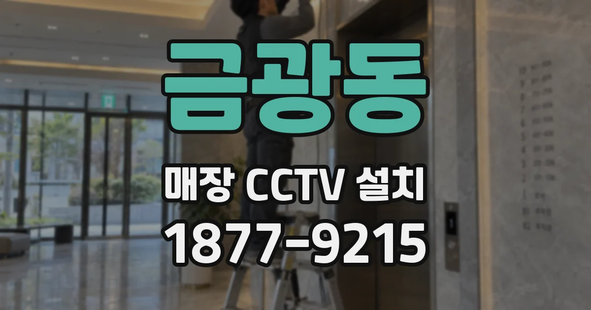 금광동 매장 CCTV 설치