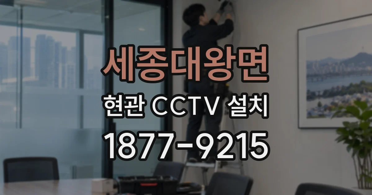 세종대왕면 현관 CCTV 설치