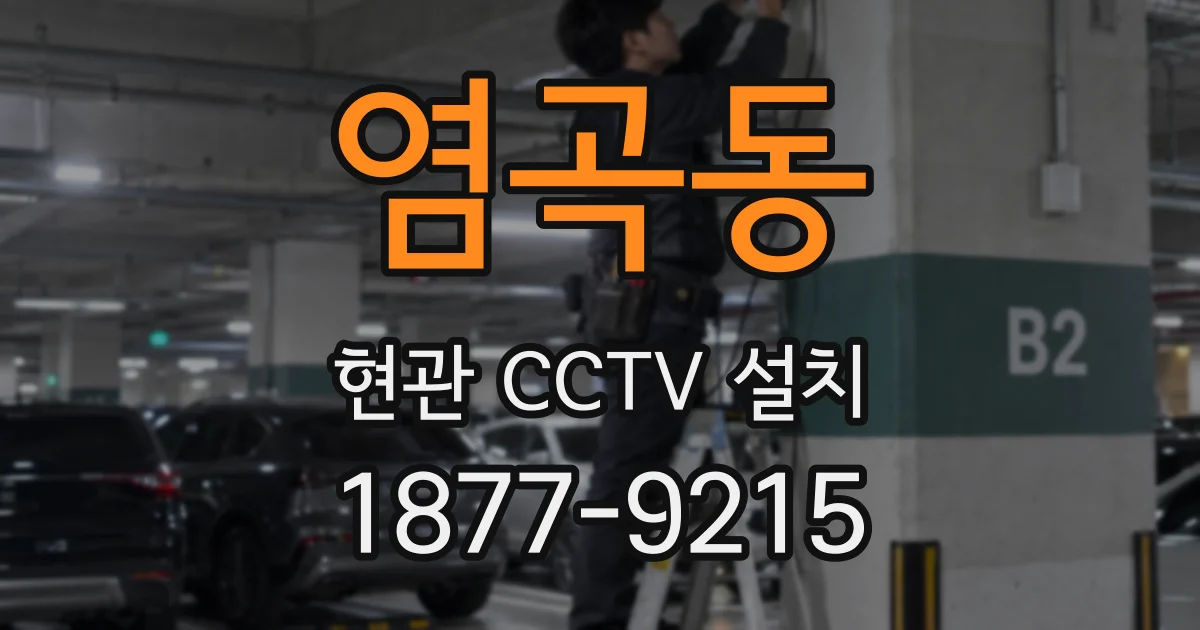 염곡동 현관 CCTV 설치