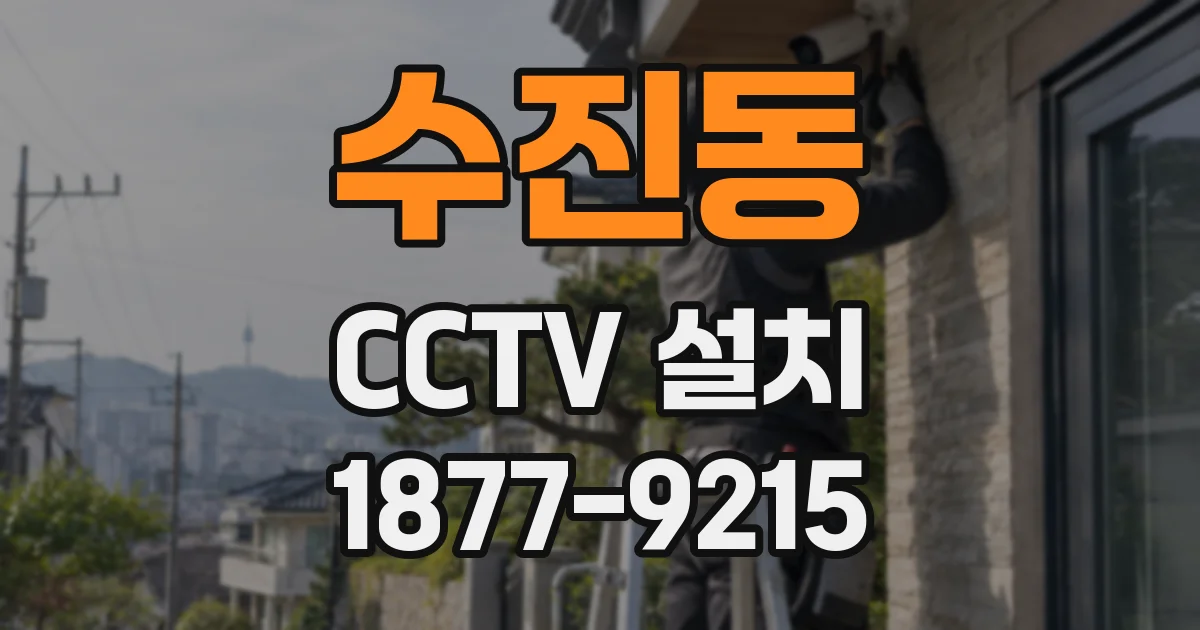 수진동 CCTV 설치