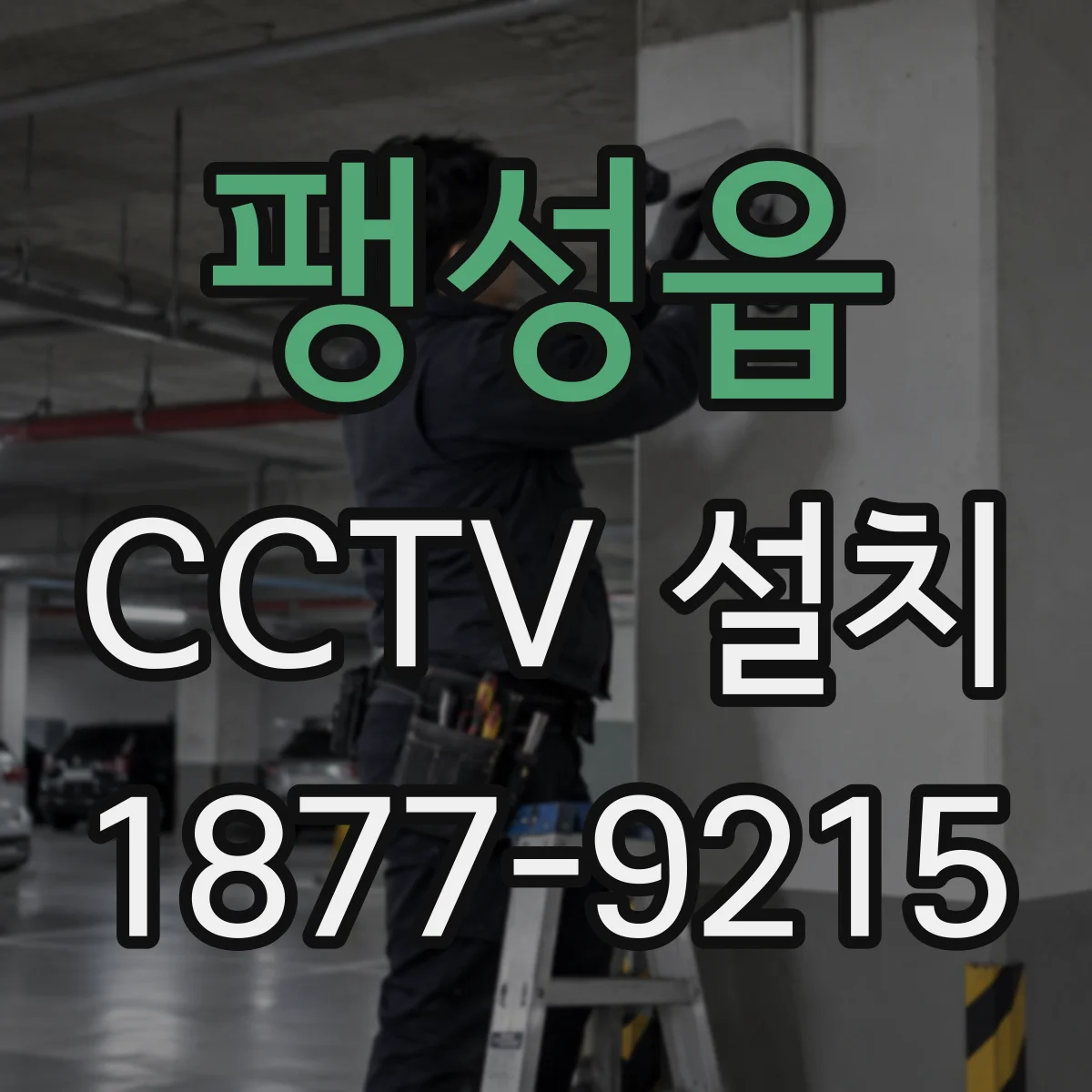 팽성읍 CCTV 설치