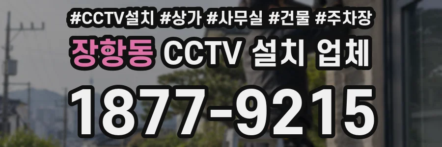 장항동 CCTV 설치 업체