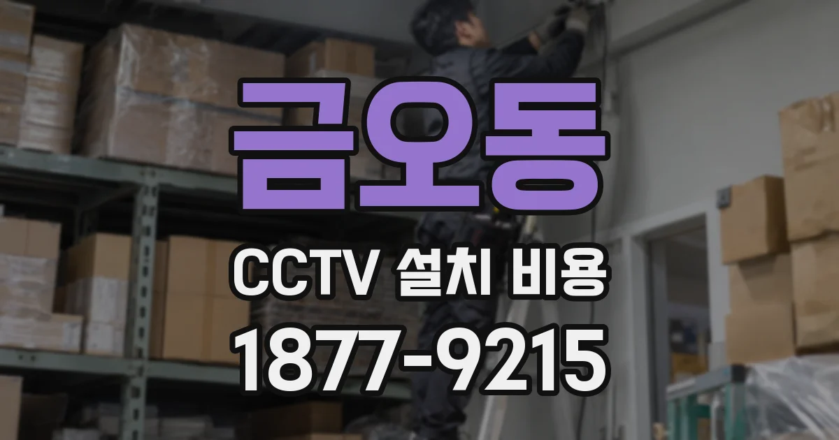 금오동 CCTV 설치 비용
