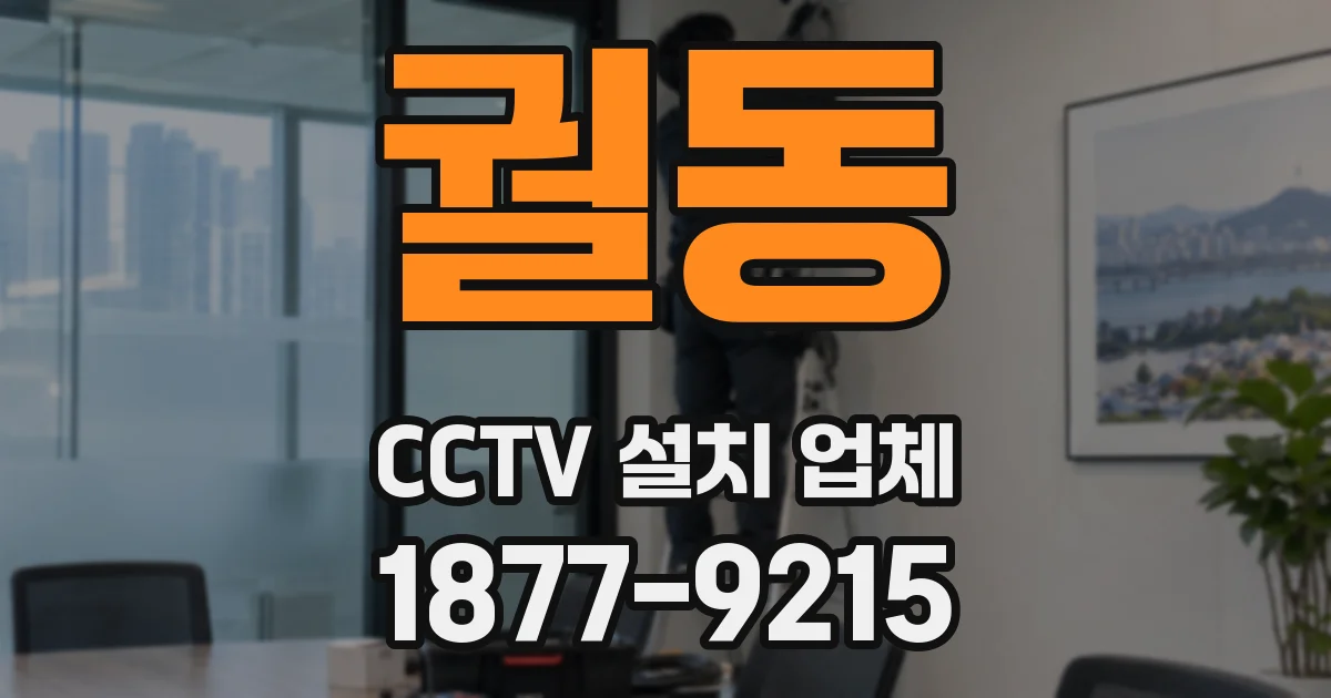 궐동 CCTV 설치 업체