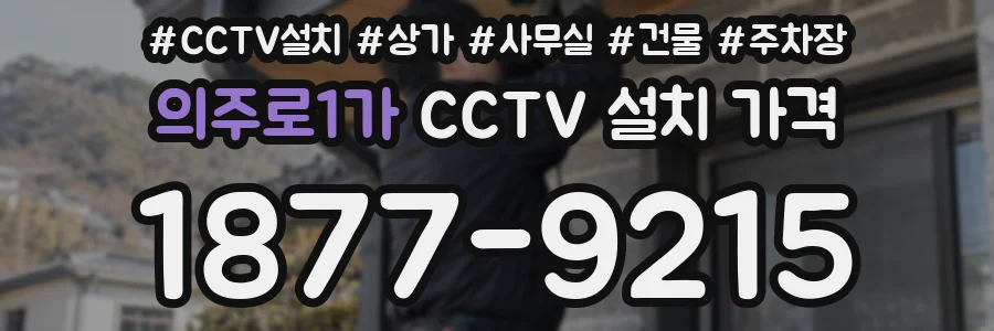 의주로1가 CCTV 설치 가격