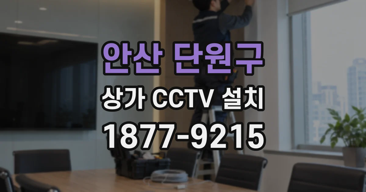 안산 단원구 상가 CCTV 설치