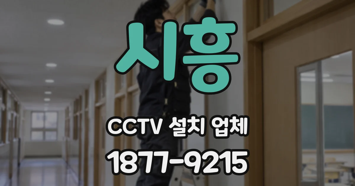 시흥 CCTV 설치 업체