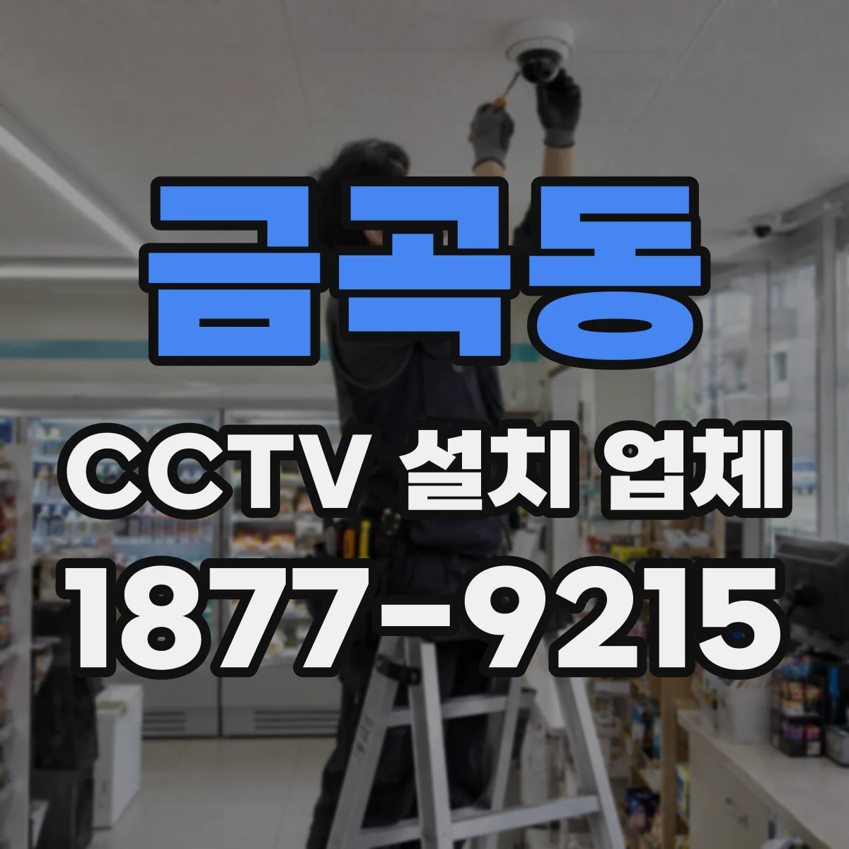 금곡동 CCTV 설치 업체
