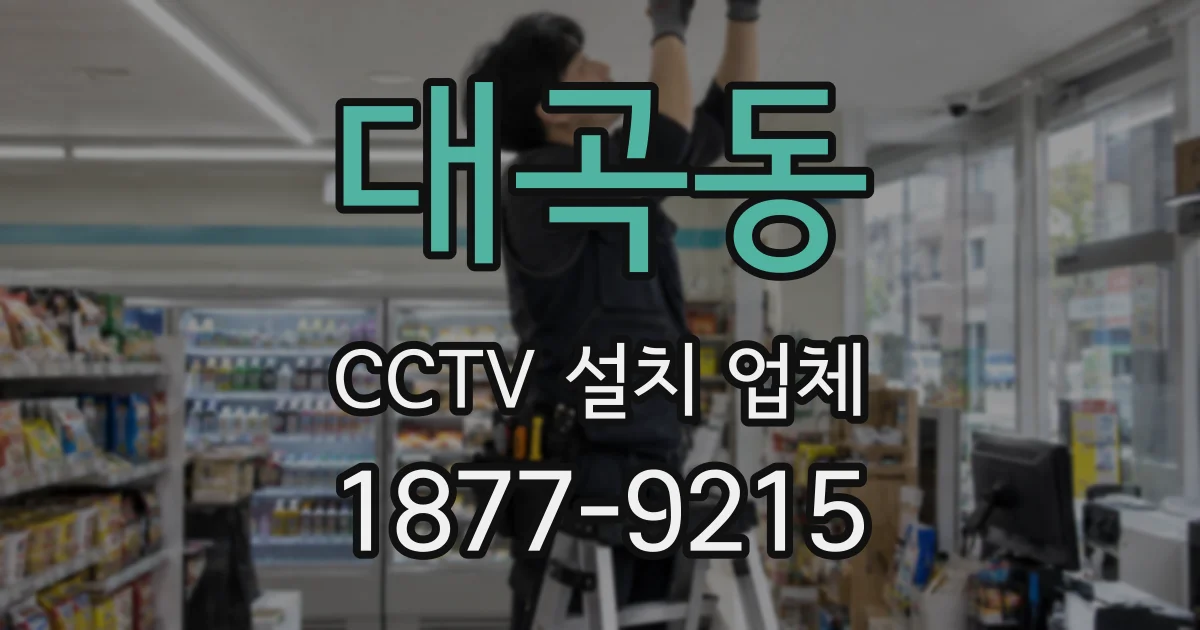 대곡동 CCTV 설치 업체