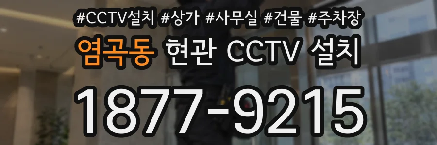 염곡동 현관 CCTV 설치