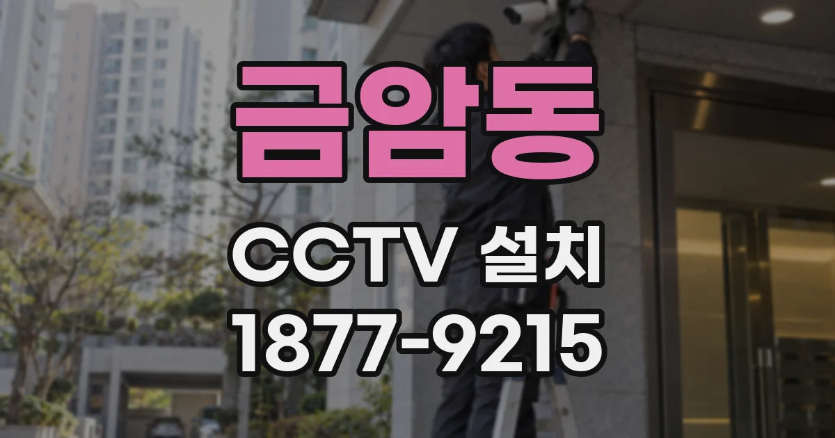 금암동 CCTV 설치