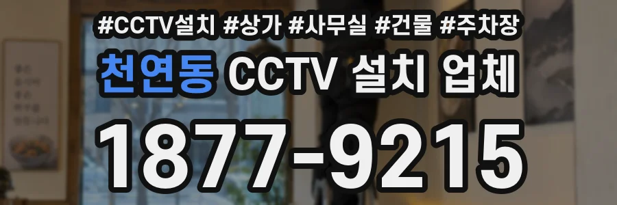 천연동 CCTV 설치 업체