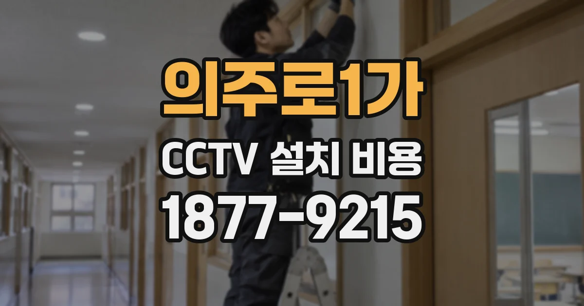 의주로1가 CCTV 설치 비용