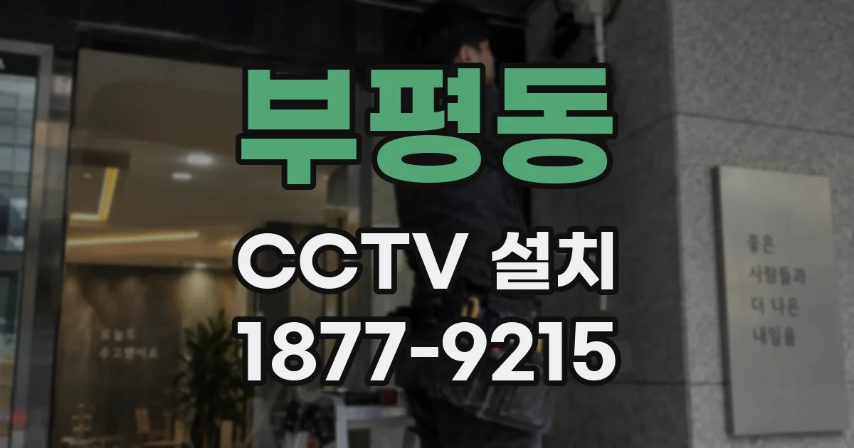 부평동 CCTV 설치