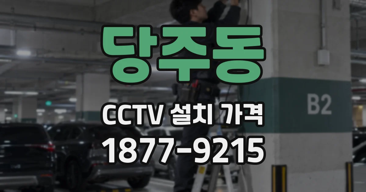 당주동 CCTV 설치 가격