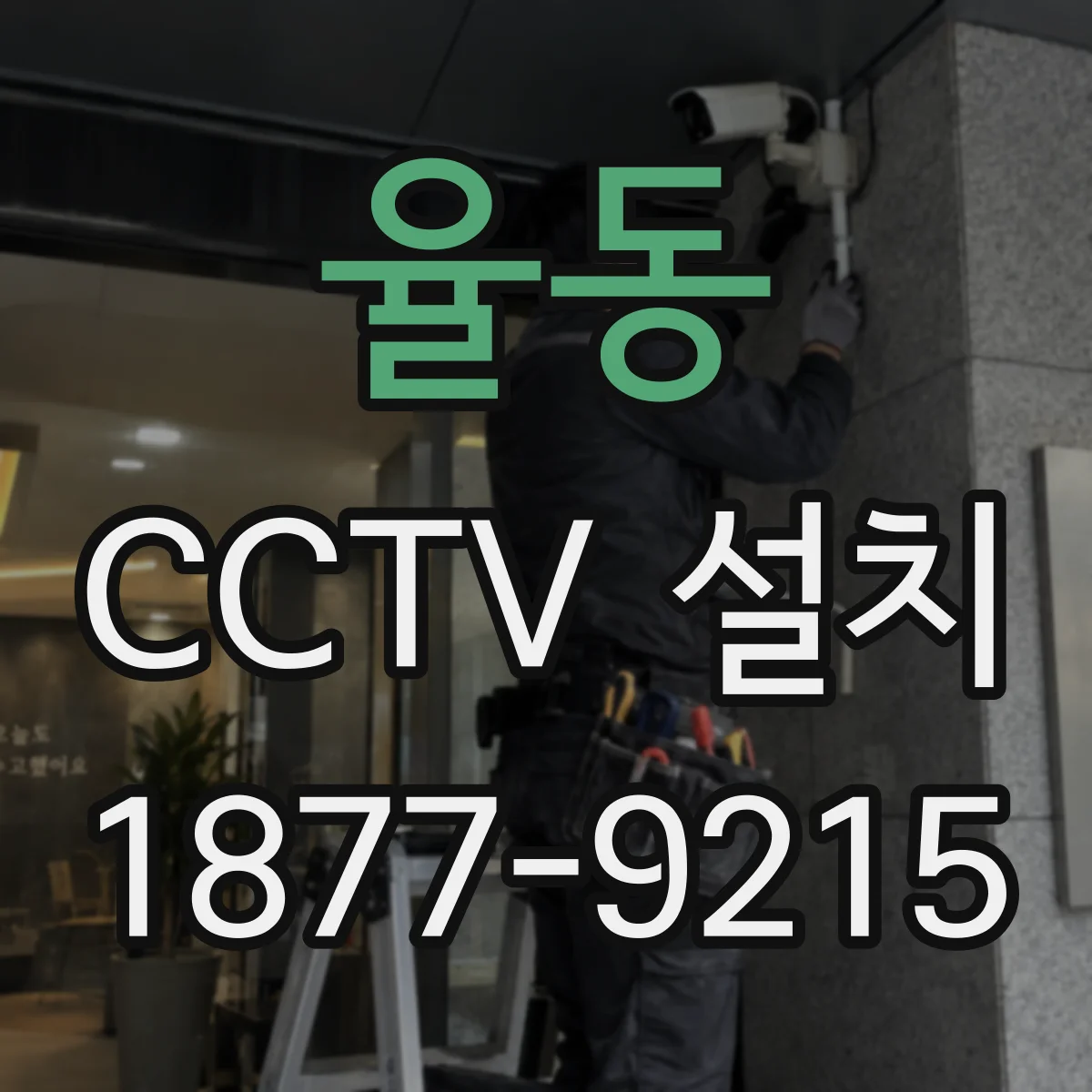 율동 CCTV 설치
