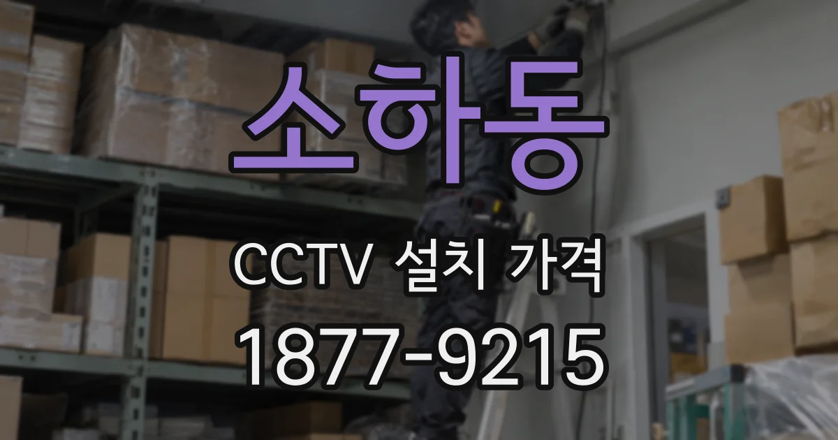 소하동 CCTV 설치 가격