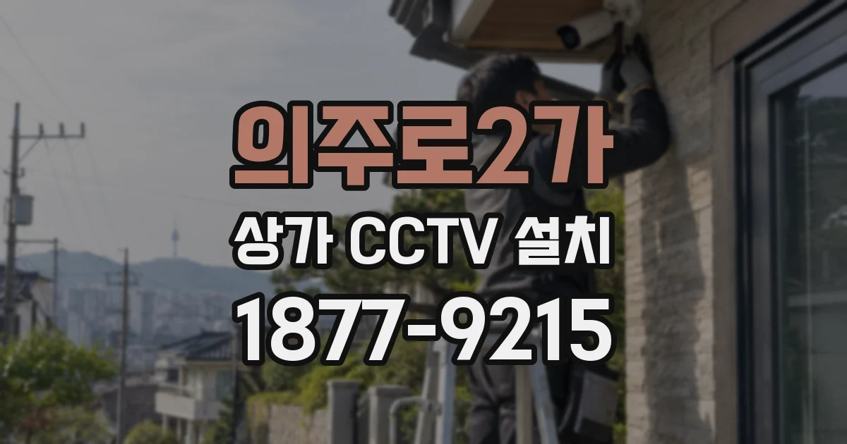 의주로2가 상가 CCTV 설치