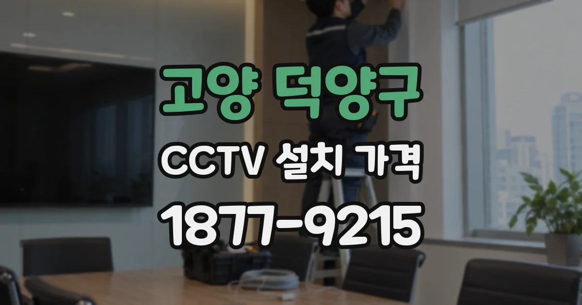고양 덕양구 CCTV 설치 가격