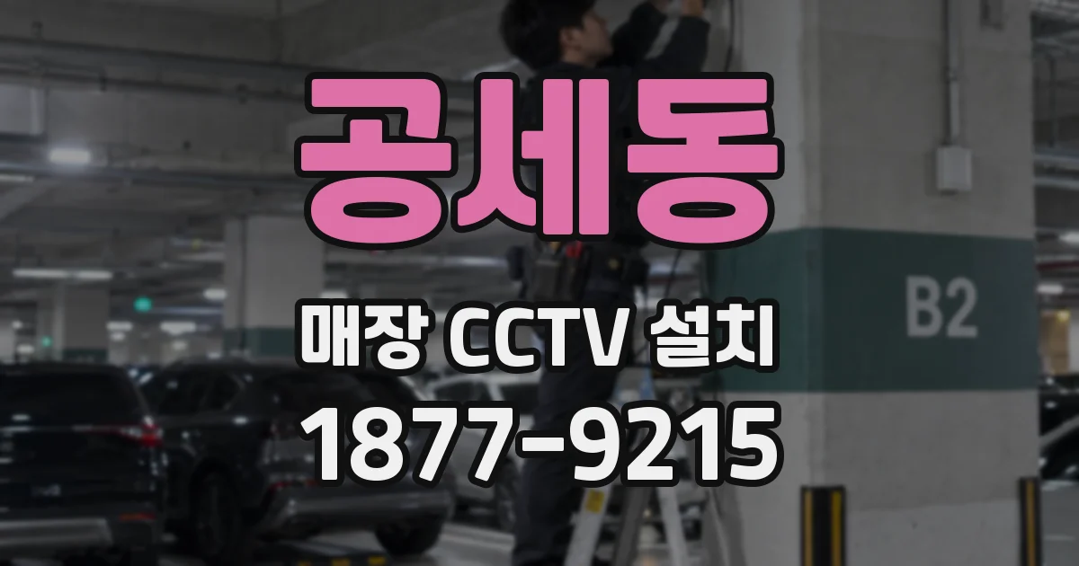 공세동 매장 CCTV 설치