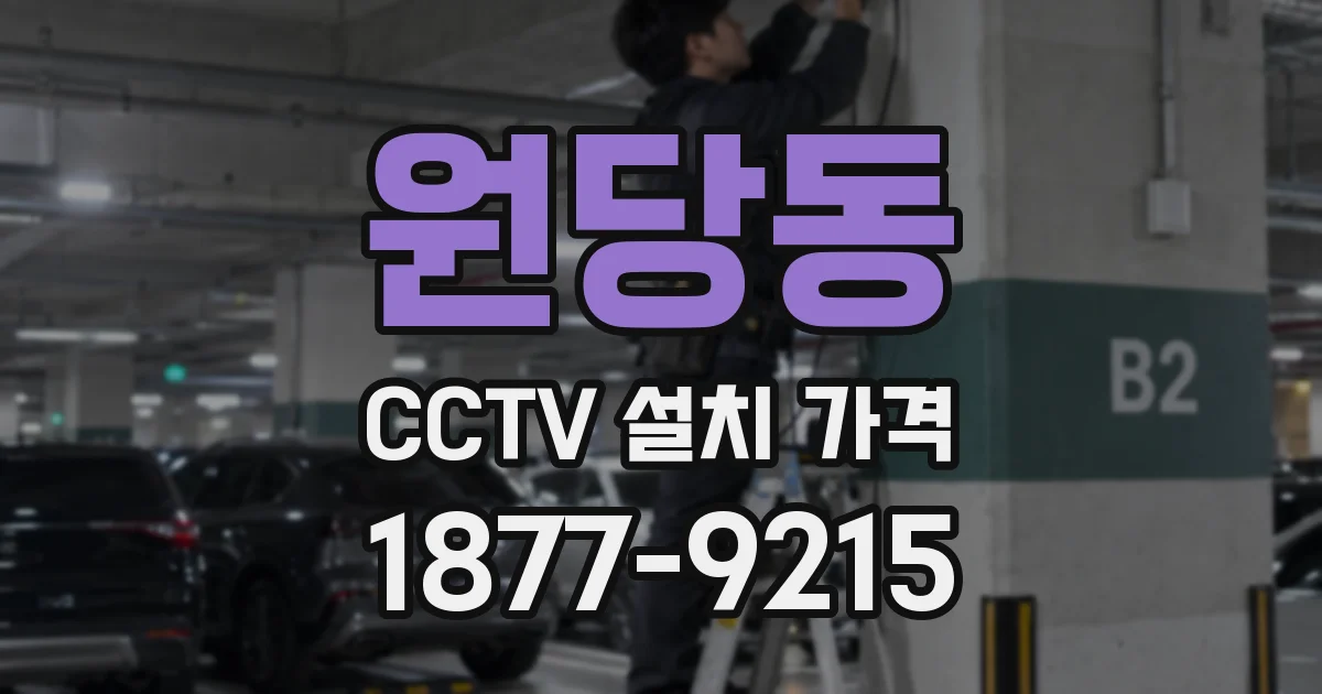 원당동 CCTV 설치 가격