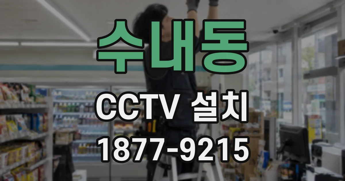 수내동 CCTV 설치
