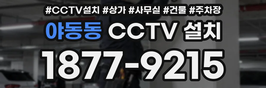 야동동 CCTV 설치