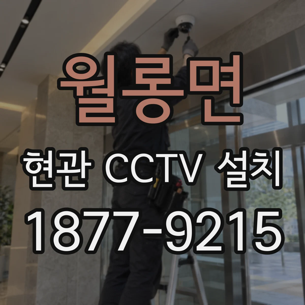 월롱면 현관 CCTV 설치