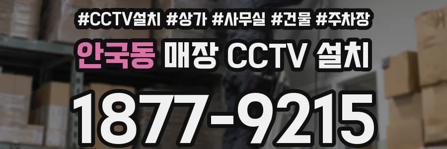 안국동 매장 CCTV 설치
