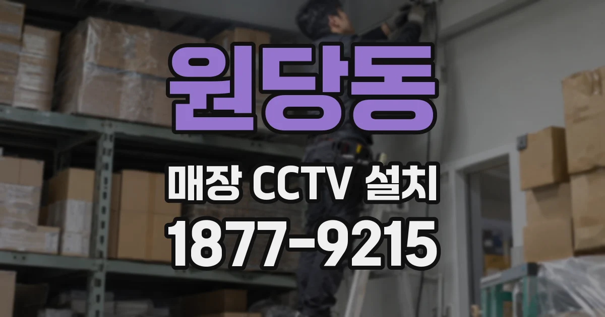 원당동 매장 CCTV 설치