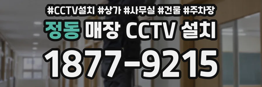 정동 매장 CCTV 설치
