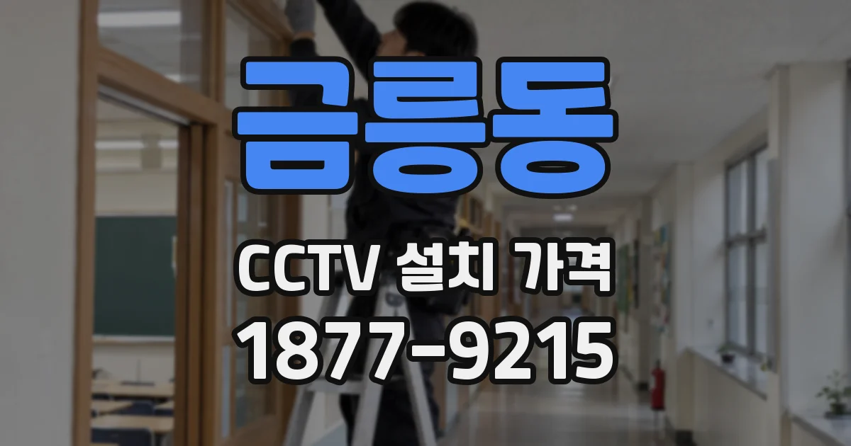 금릉동 CCTV 설치 가격