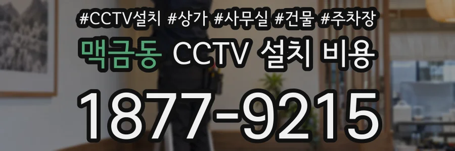 맥금동 CCTV 설치 비용