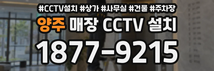 양주 매장 CCTV 설치
