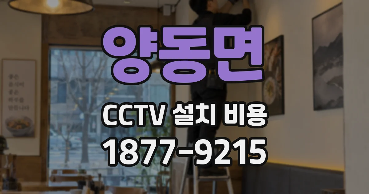 양동면 CCTV 설치 비용