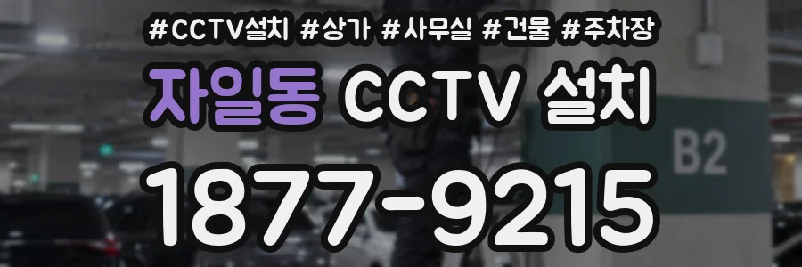 자일동 CCTV 설치