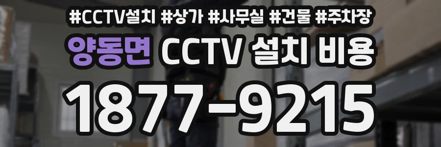 양동면 CCTV 설치 비용