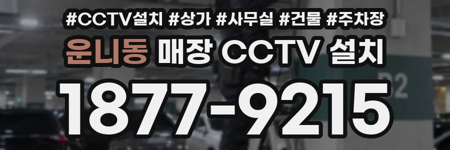운니동 매장 CCTV 설치