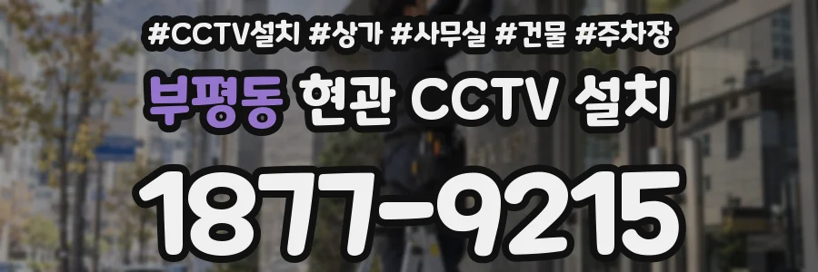 부평동 현관 CCTV 설치
