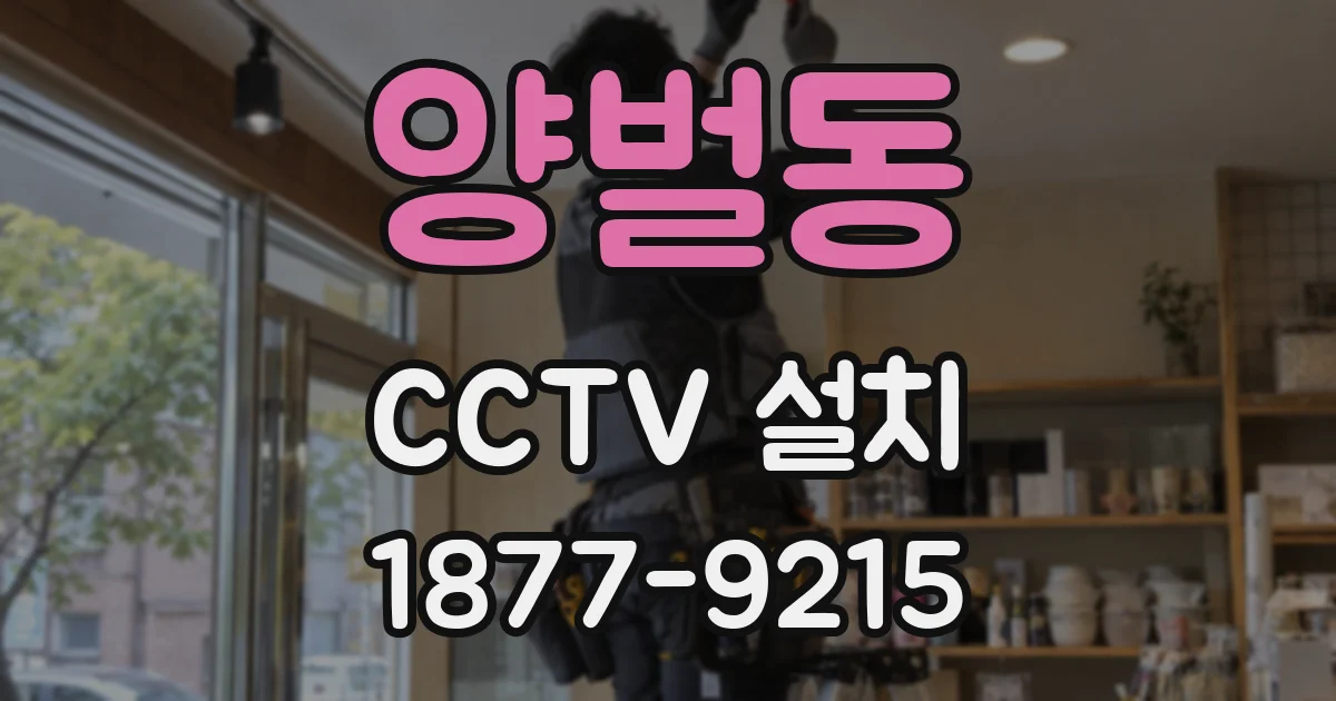양벌동 CCTV 설치