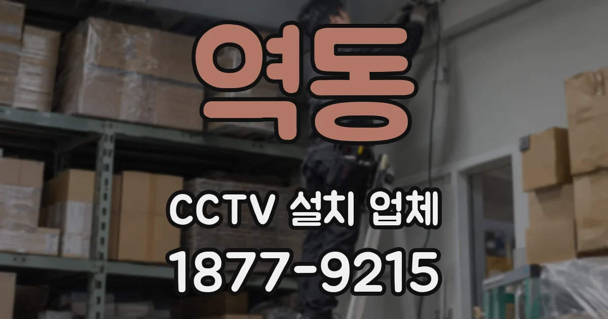 역동 CCTV 설치 업체