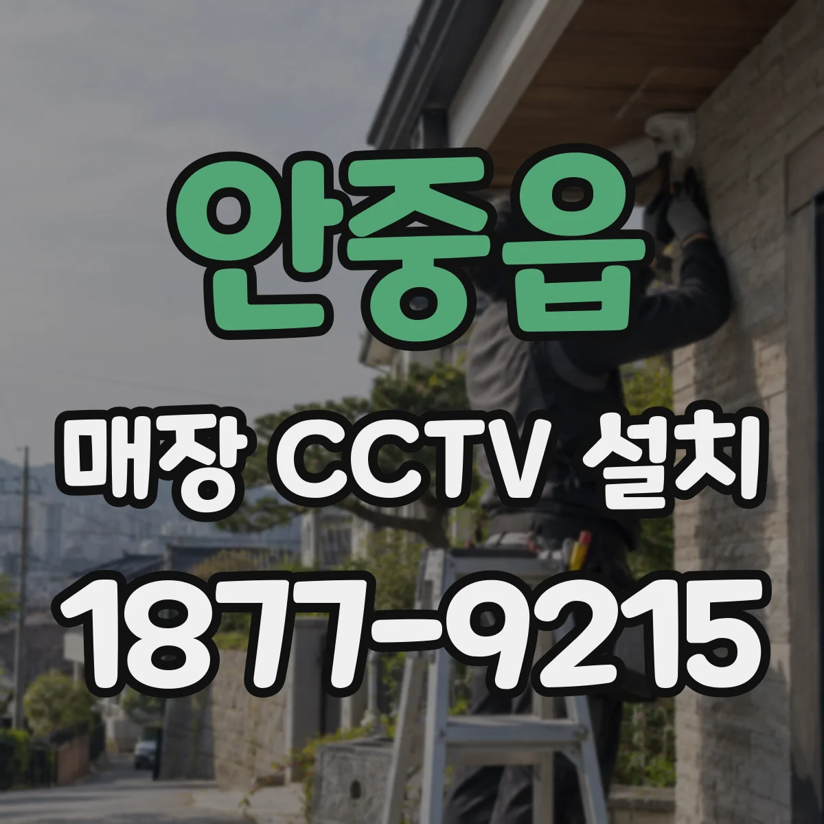 안중읍 매장 CCTV 설치