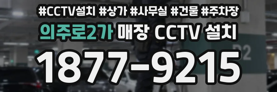 의주로2가 매장 CCTV 설치
