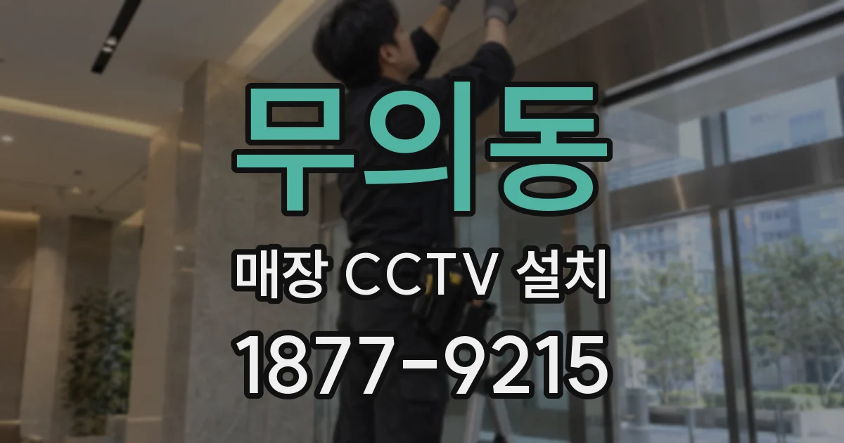 무의동 매장 CCTV 설치