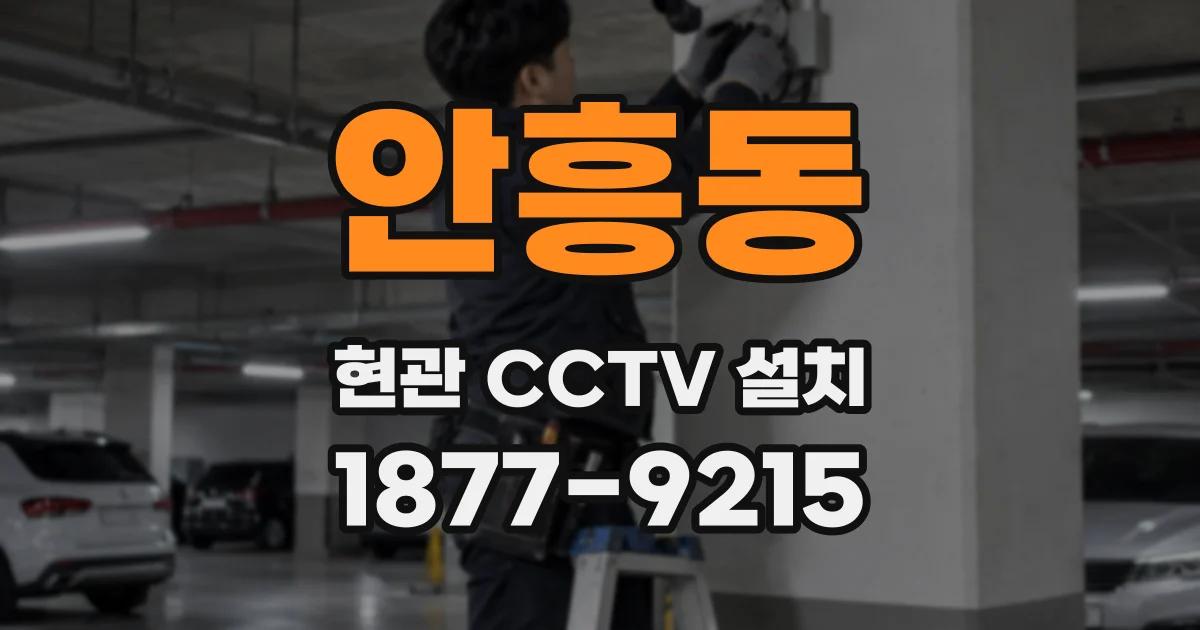 안흥동 현관 CCTV 설치