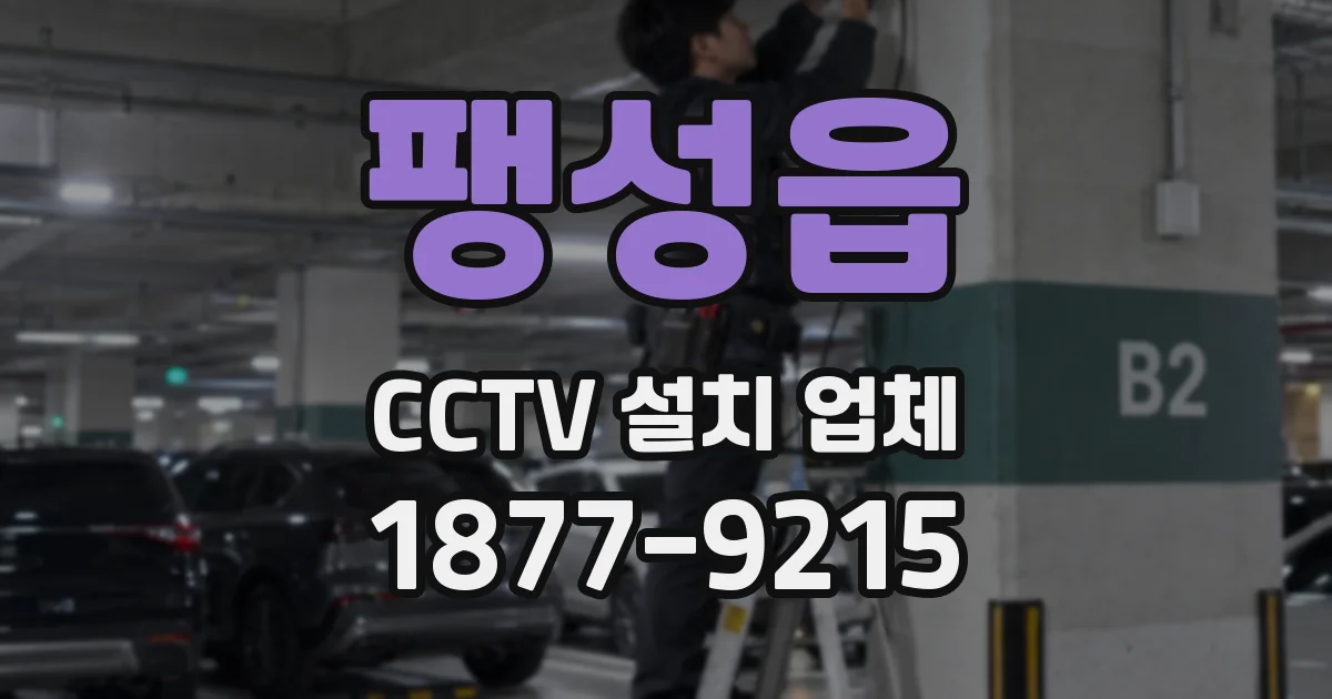 팽성읍 CCTV 설치 업체