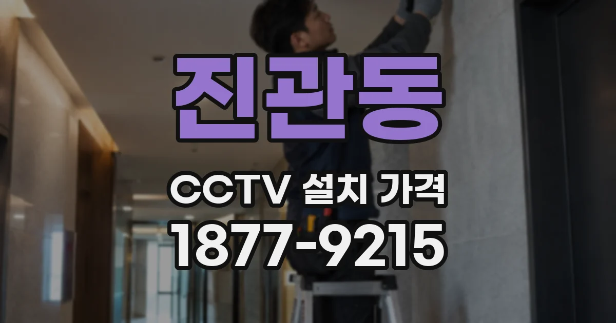 진관동 CCTV 설치 가격