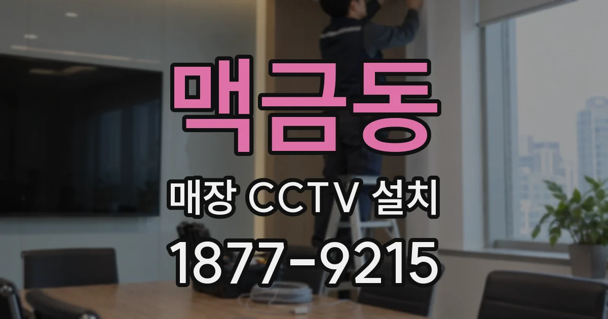 맥금동 매장 CCTV 설치
