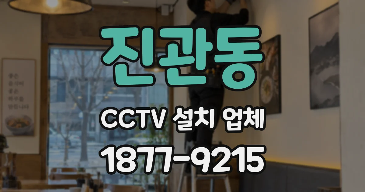 진관동 CCTV 설치 업체